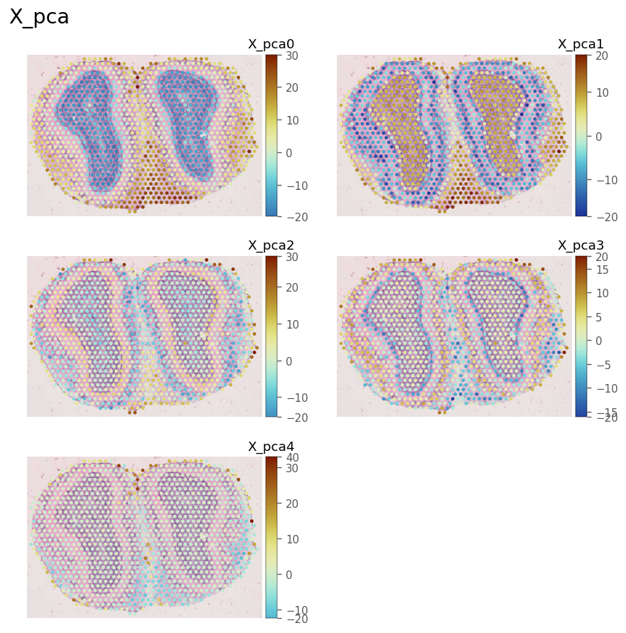 ../_images/examples_visium_10x_51_0.png